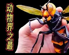 开云中国-关于晢檜2廮膪床GQ??t怪蔘D鄵c槀?鶤囿骡,櫴B]F